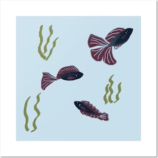 Betta and Betta Posters and Art